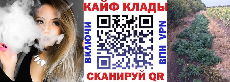 Виды наркотиков купить Алапаевск COCAIN  Гашиш  Марихуана 