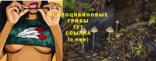 apvp Алексеевка