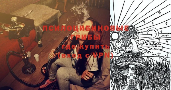 apvp Алексеевка
